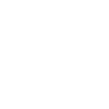 wordpress wit